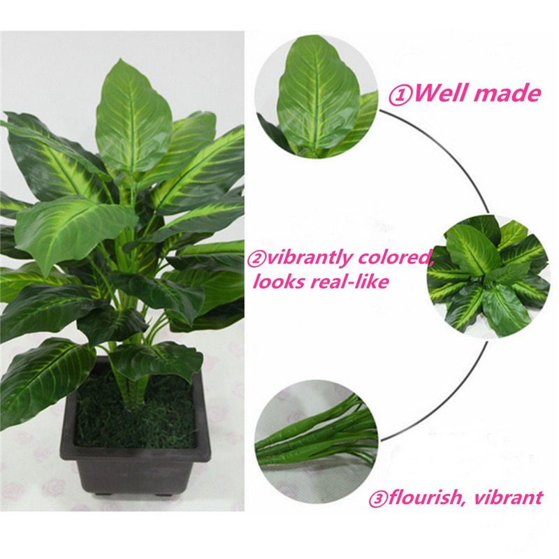 Simulation plant Dieffenbachia