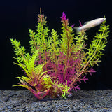 Fish Tank Decoration Artificial Plant Plastic Water Plant Aquarium Beautification